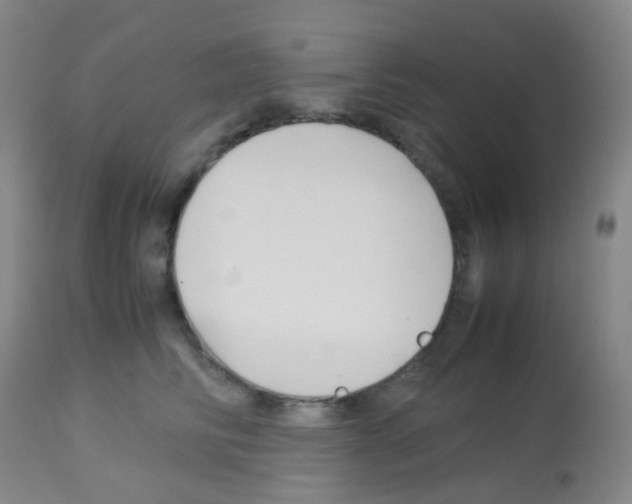 X0000113070710200910091208
