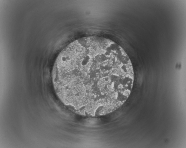 X0000113070711200910091208