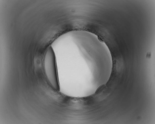 X0000113070712200910091208