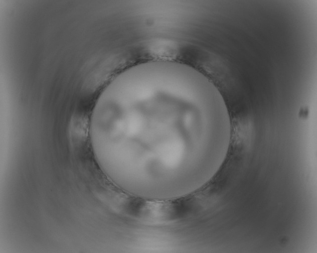 X0000113070713200910091208