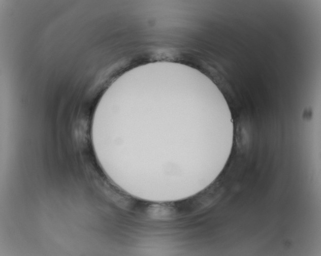X0000113070714200910091208