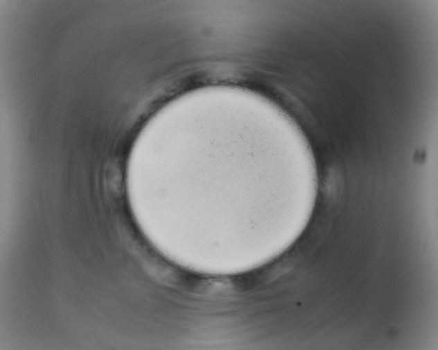 X0000113070715200910091208