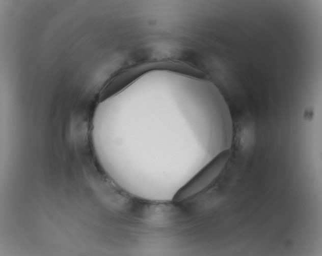 X0000113070716200910091208