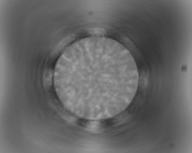 X0000113070717200910091208