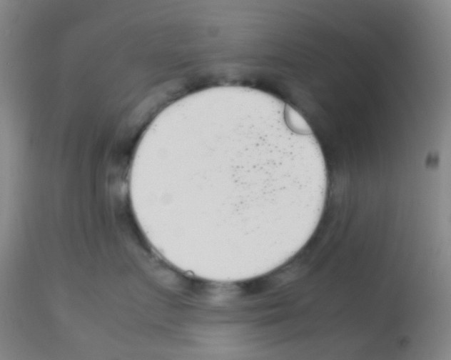 X0000113070719200910091208