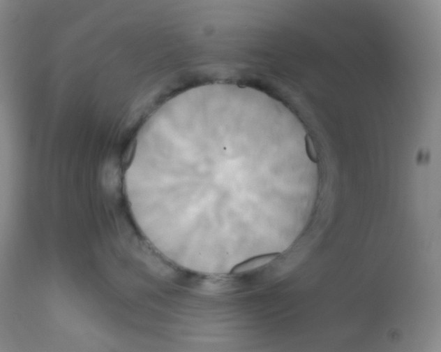 X0000113070720200910091208
