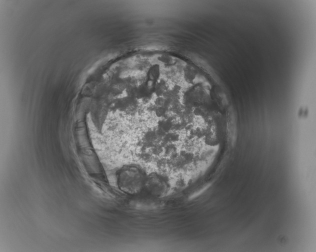 X0000113070721200910091207
