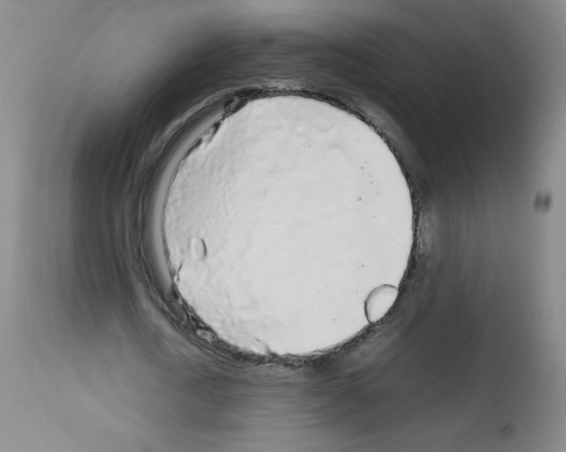 X0000113070722200910091207