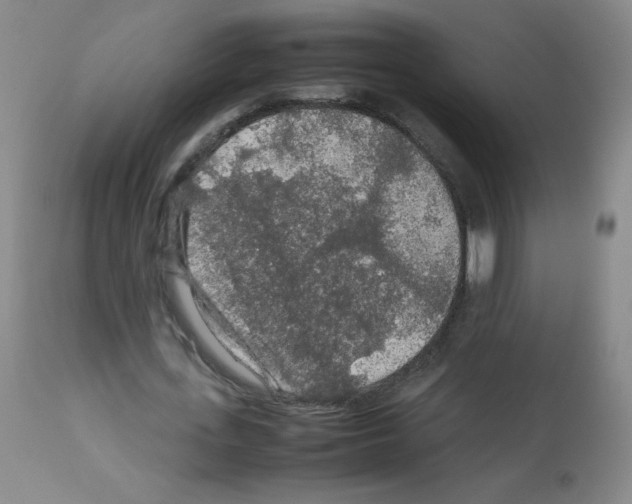 X0000113070723200910091207