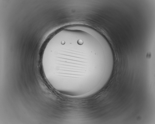 X0000113070724200910091207