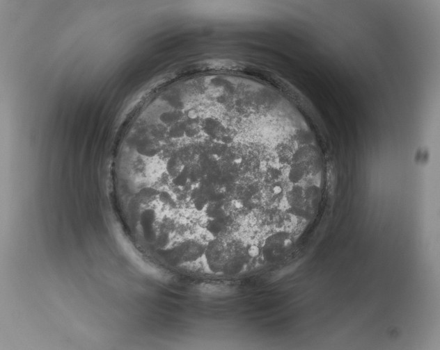 X0000113070725200910091207