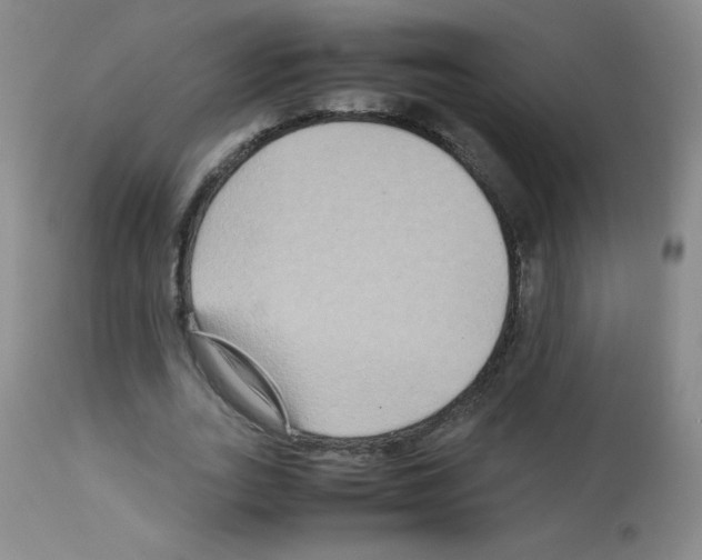 X0000113070727200910091207