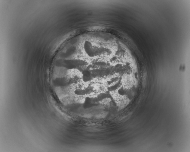 X0000113070729200910091207