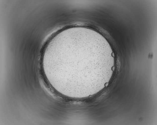 X0000113070730200910091207