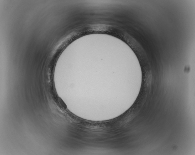 X0000113070731200910091207