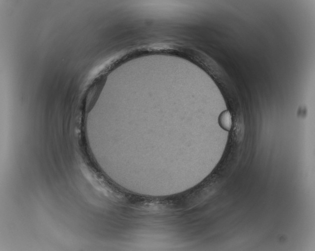 X0000113070732200910091207