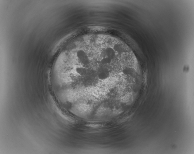 X0000113070733200910091207