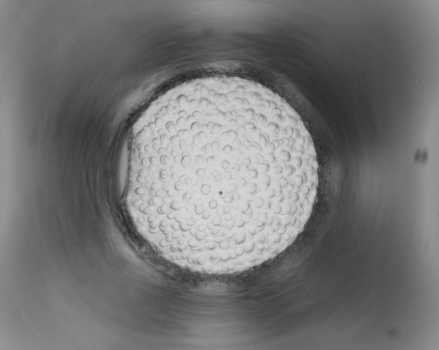 X0000113070734200910091207