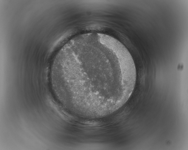 X0000113070735200910091207