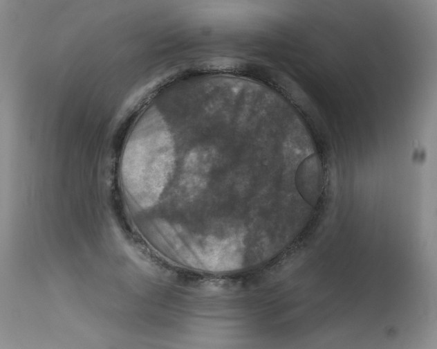 X0000113070736200910091207