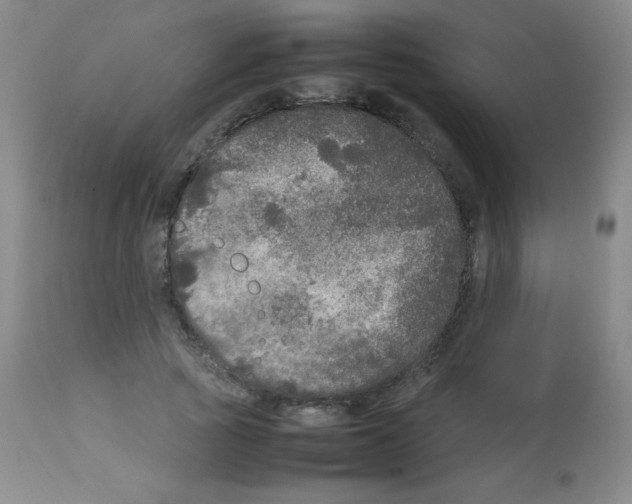 X0000113070737200910091207