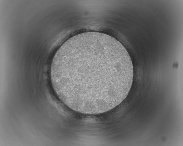 X0000113070738200910091207
