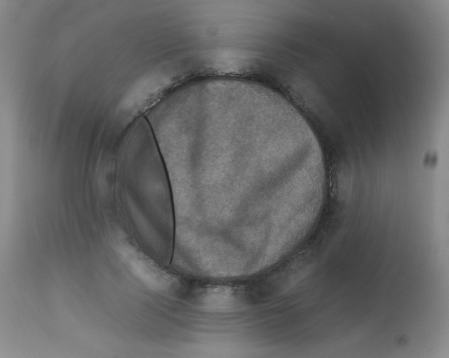 X0000113070740200910091207