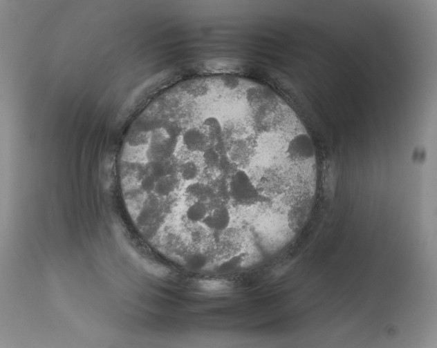X0000113070741200910091207