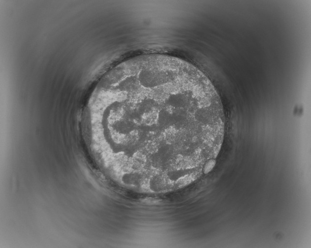 X0000113070742200910091207