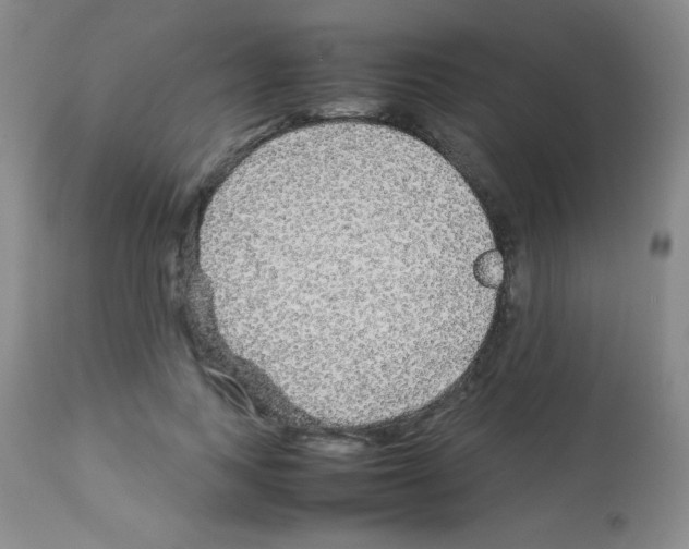 X0000113070743200910091207