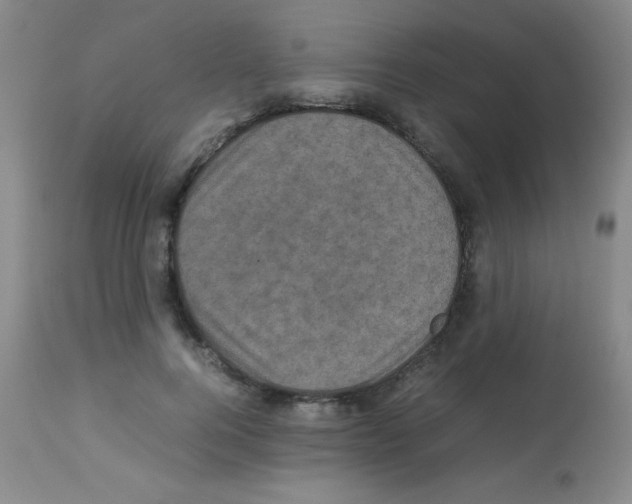 X0000113070744200910091207