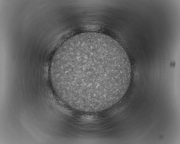 X0000113070745200910091207