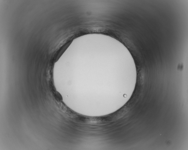 X0000113070746200910091207