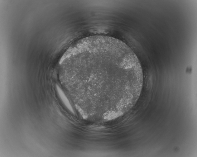 X0000113070747200910091207