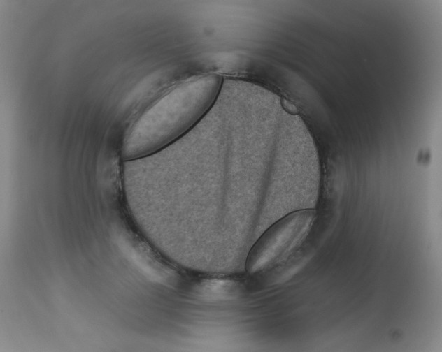 X0000113070748200910091207