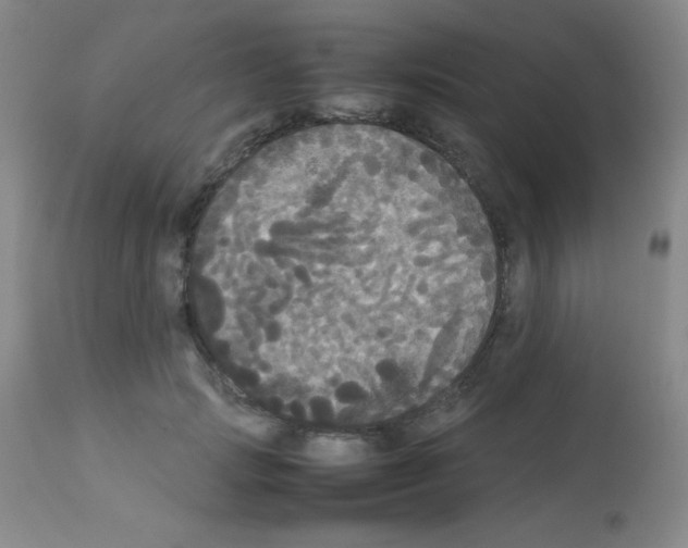 X0000113070749200910091207