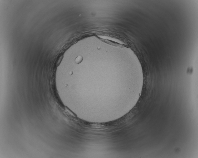 X0000113070750200910091207