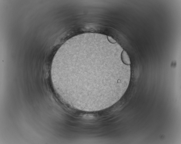 X0000113070751200910091207