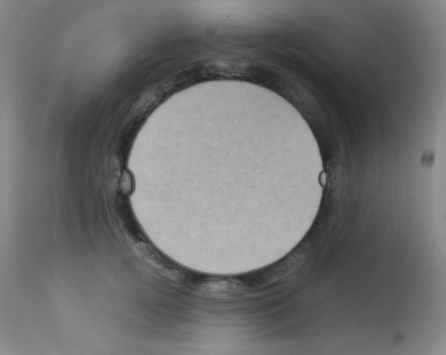 X0000113070752200910091208