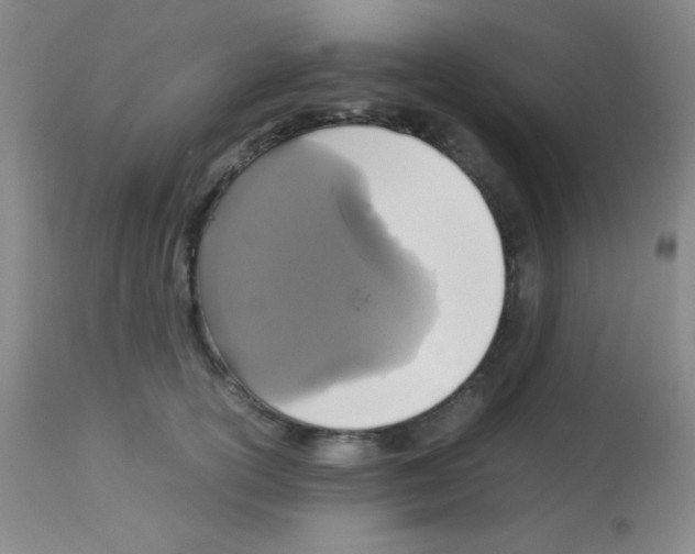 X0000113070754200910091208