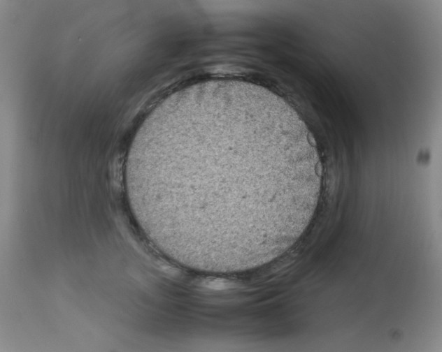 X0000113070755200910091208