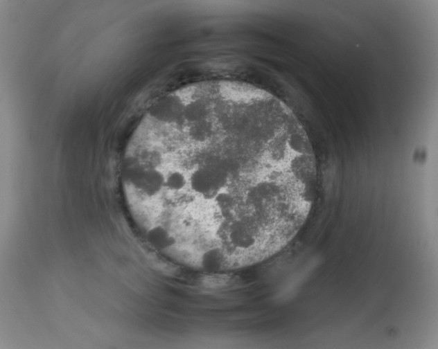 X0000113070757200910091208