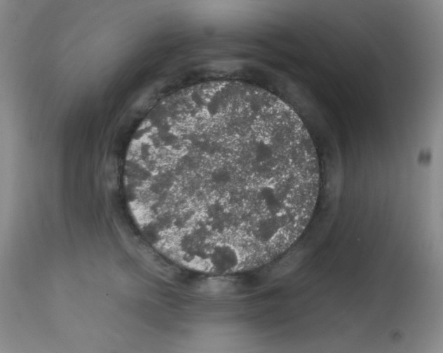X0000113070758200910091208