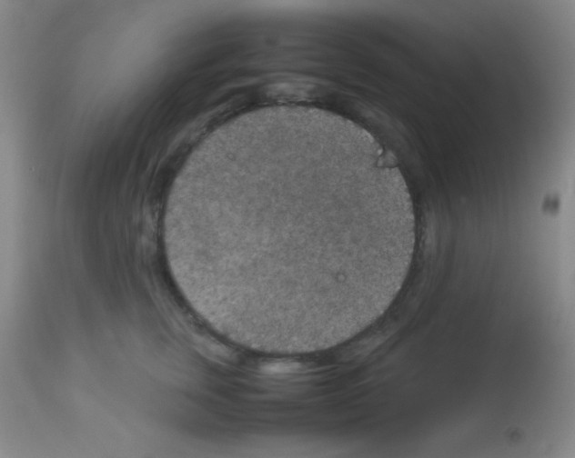 X0000113070759200910091208