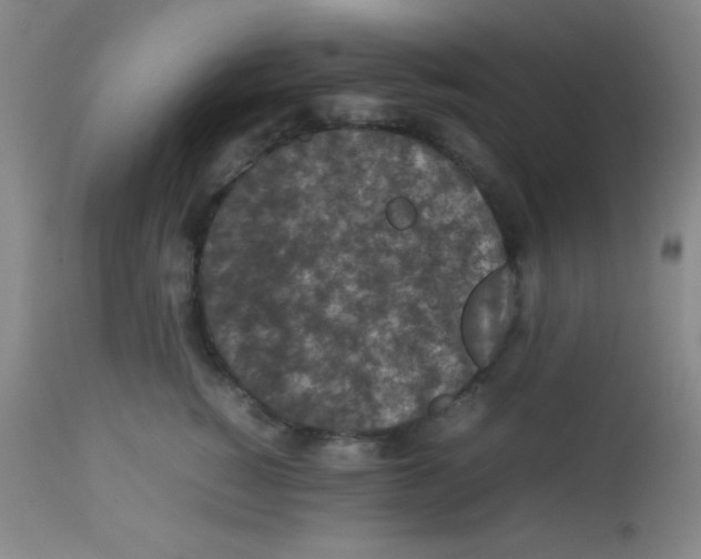 X0000113070760200910091208