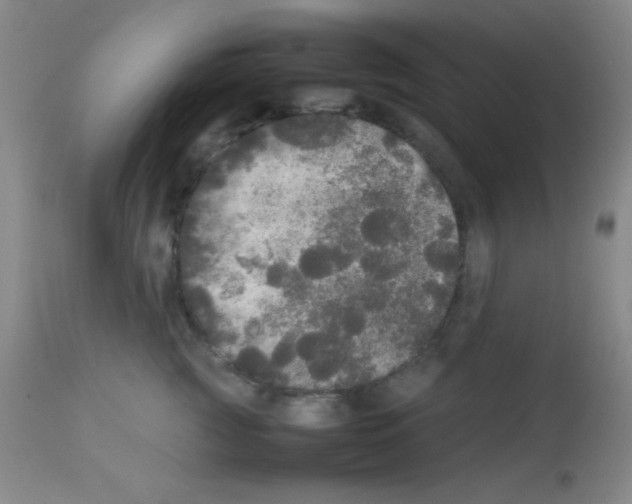 X0000113070761200910091208