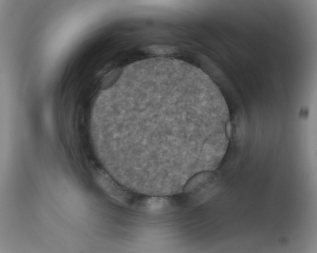 X0000113070762200910091208