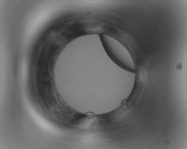 X0000113070764200910091208