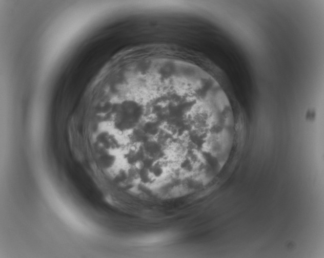 X0000113070765200910091208