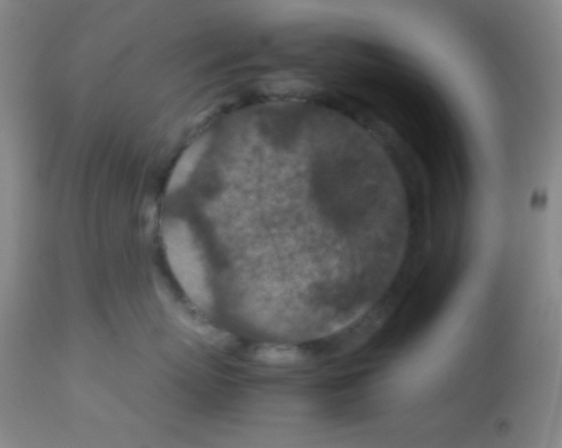 X0000113070767200910091208